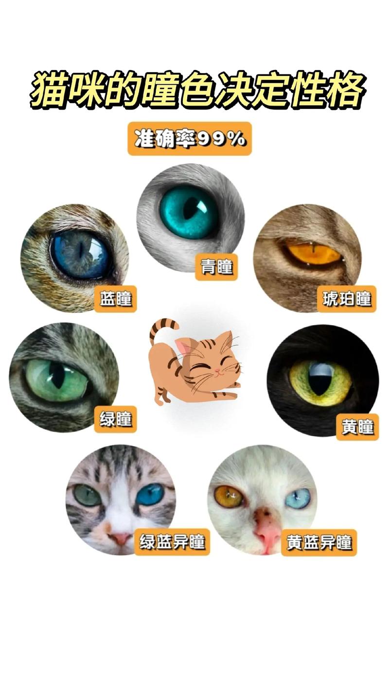 猫咪的眼睛，从蓝到绿的神秘色彩变换