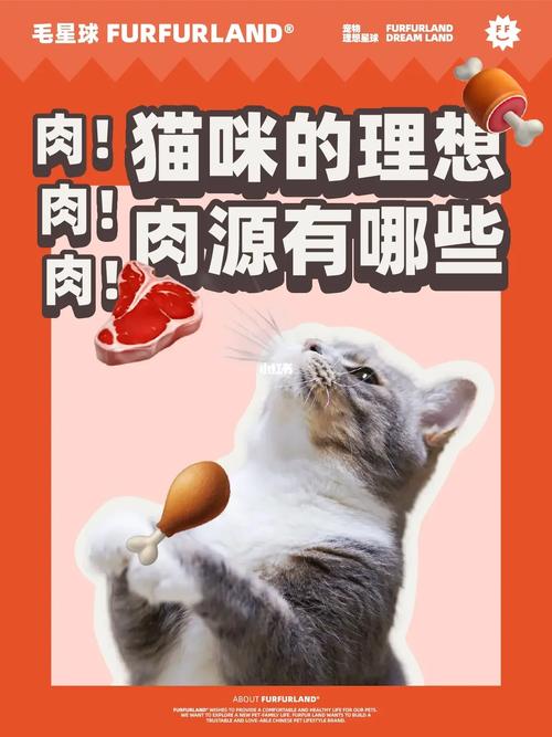 猫咪吃肉后拉肚子，饮食健康小贴士