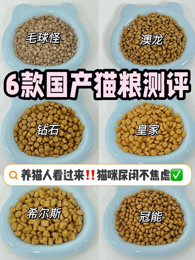 猫咪不吃处方粮？专家解析与建议