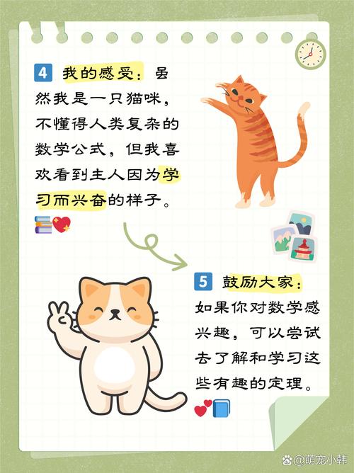 猫咪为何如此迷恋打抓——揭秘猫爪的奥秘