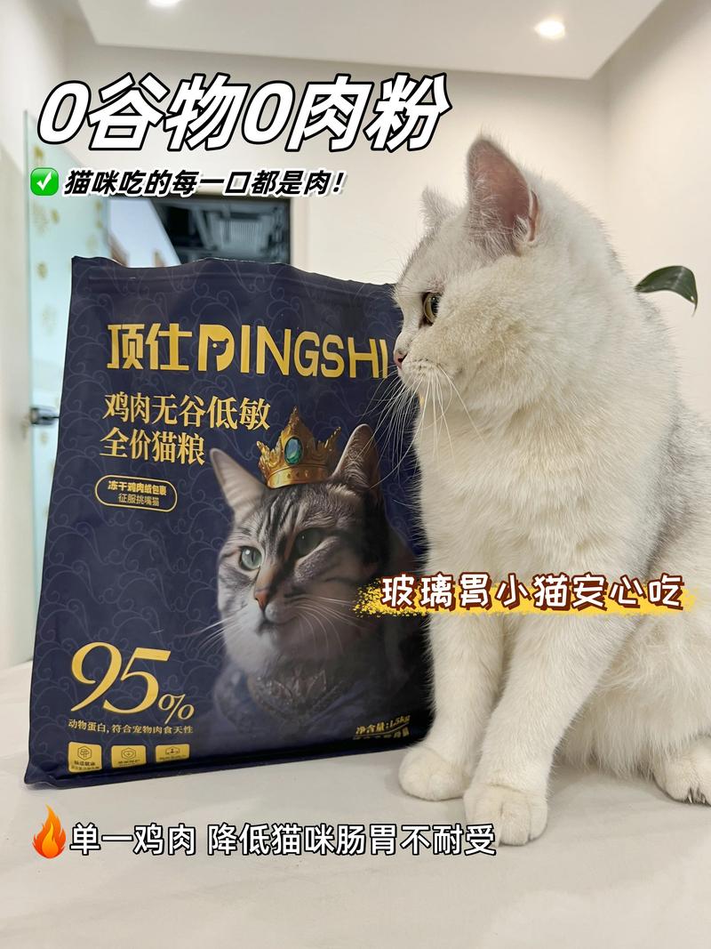 猫咪体内白蛋白偏高的潜在风险与应对策略