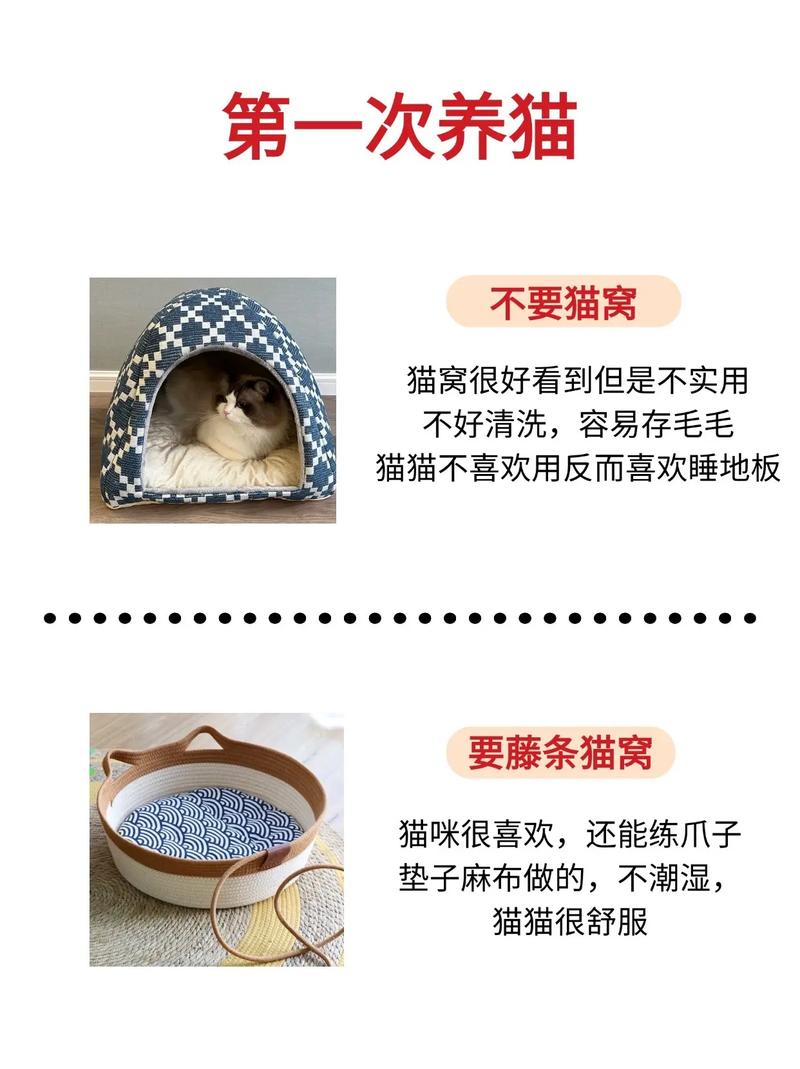 揭秘猫咪的美食秘诀，营养膏为何成为宠主们的首选