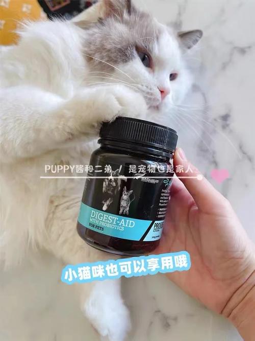 谷登猫咪益生菌——守护毛孩子肠道健康的秘密武器