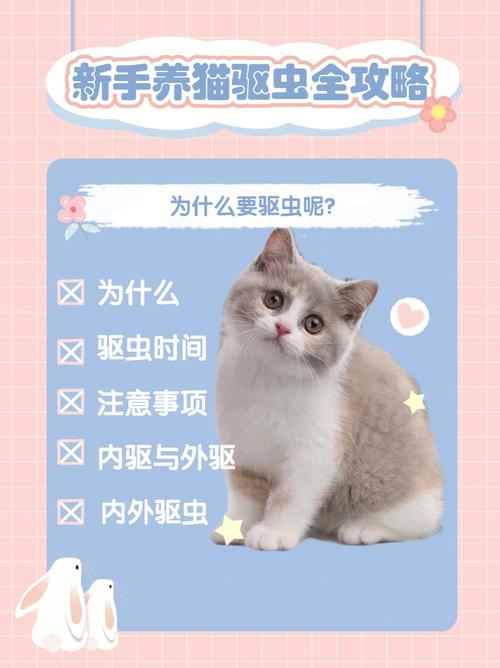 驱虫小妙招，让猫咪健康享受生肉