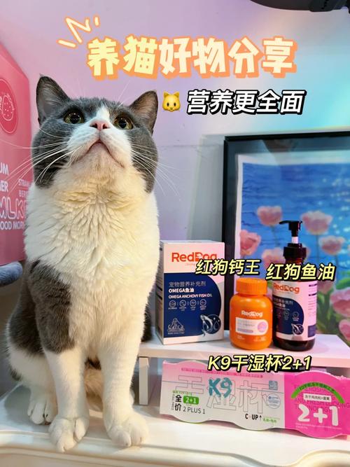 猫咪自制营养餐，为爱宠打造健康美味