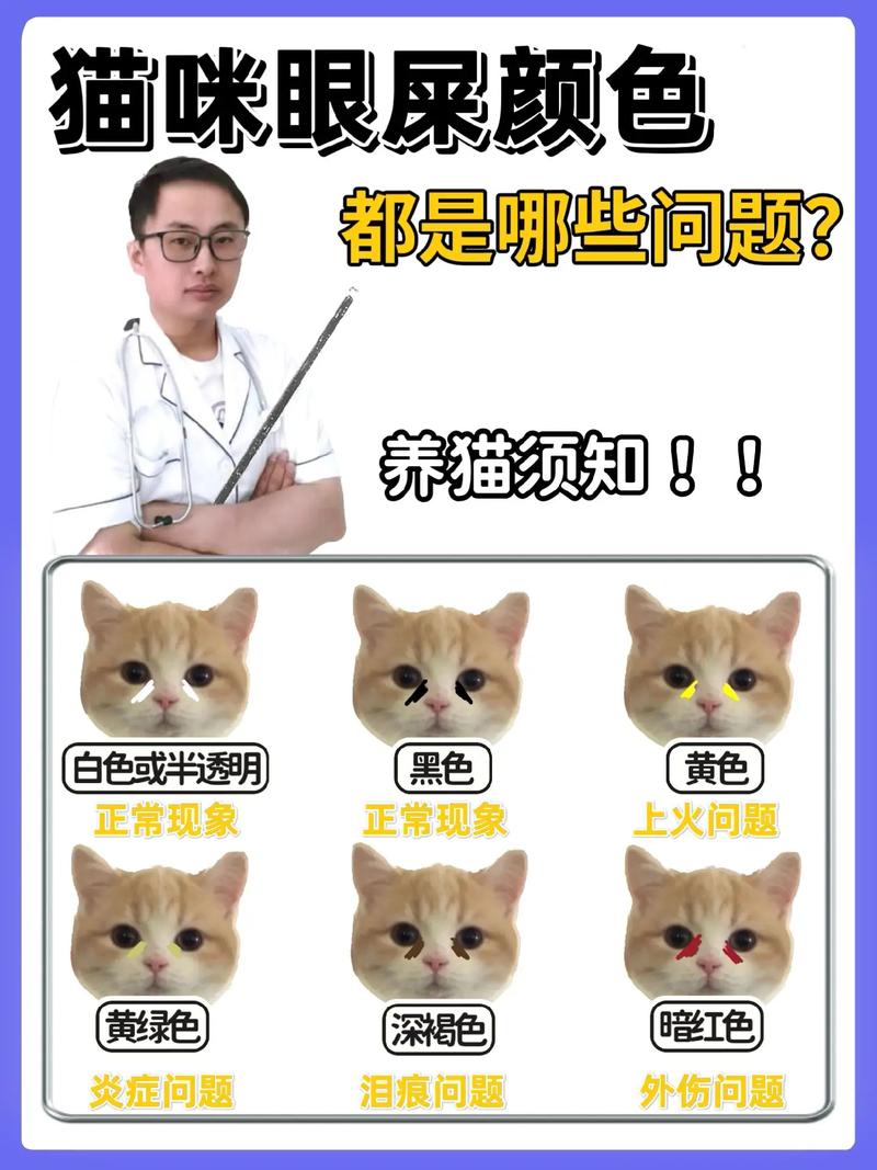 猫咪眼屎异常之谜，黄色眼屎背后的健康警报