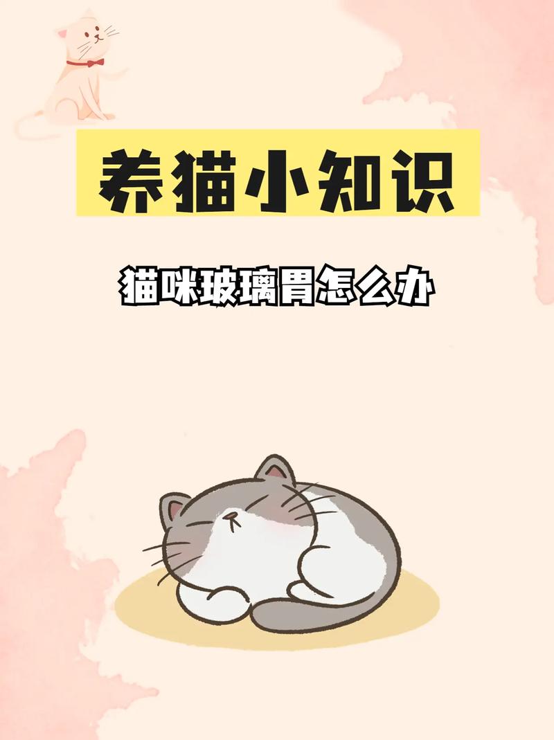 猫咪食欲不振？如何科学应对