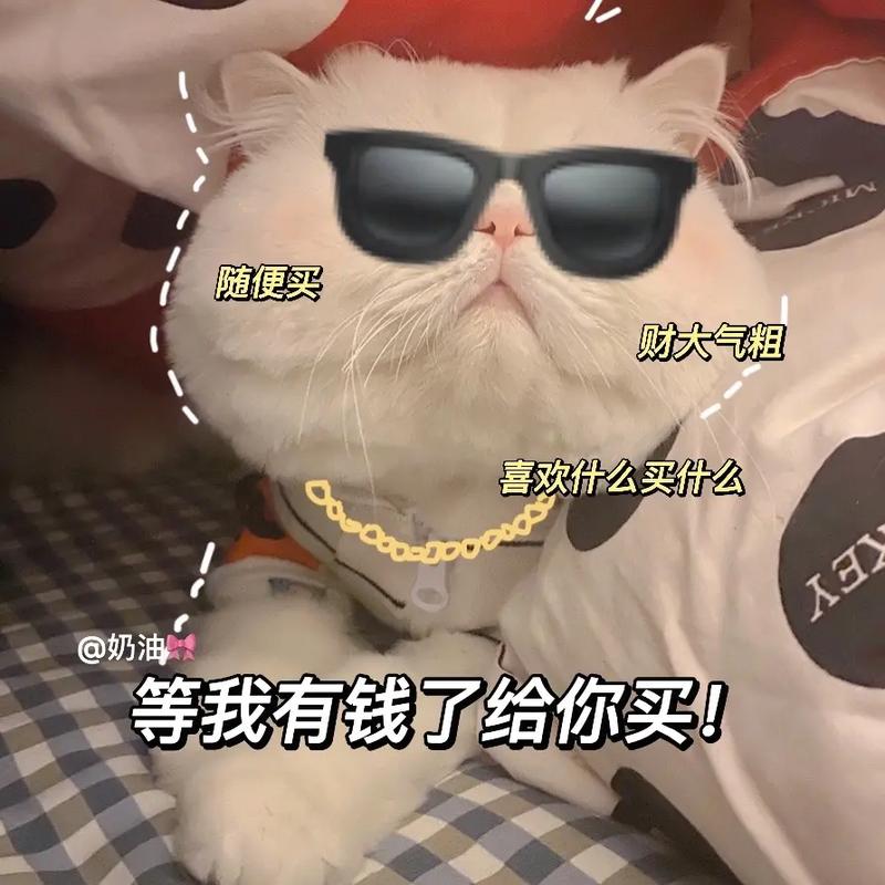 猫咪的甜蜜诱惑，揭秘它们对奶油的痴迷