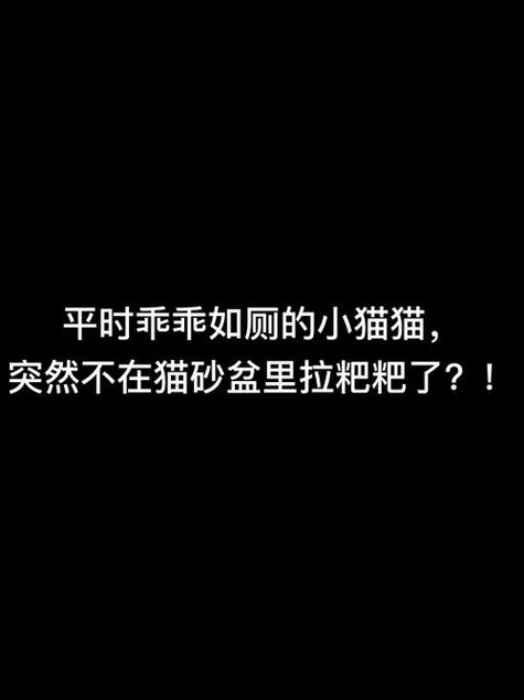 猫咪为何不再使用猫砂？——揭秘常见问题与解决方案