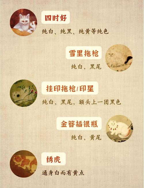 猫咪之名的魅力，探索那些让人一见钟情的名字