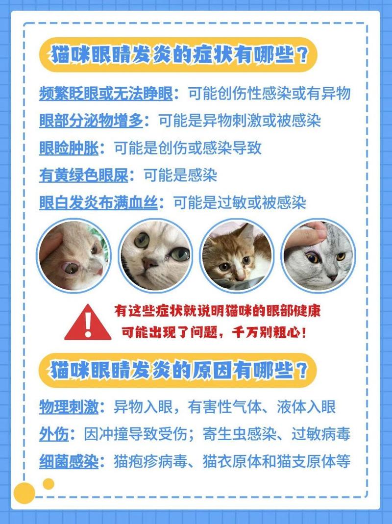 猫咪眼睛进了异物，你该如何应对？