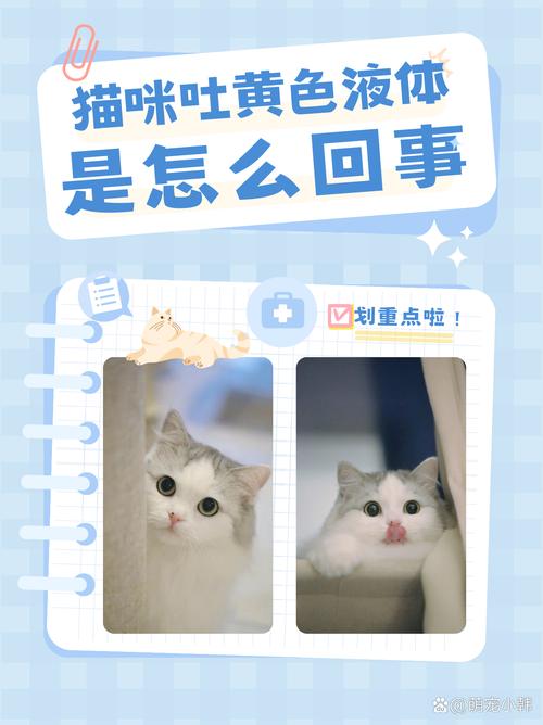 猫咪在哺乳期呕吐，原因与应对方法