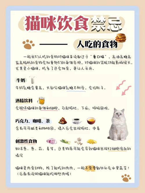 鱼汤猫咪能喝吗？猫咪的健康与饮食指南