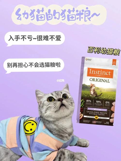 探索猫咪成长的秘密，从一岁开始