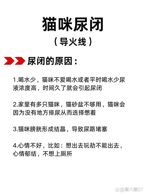 猫咪尿液变黄的那些事