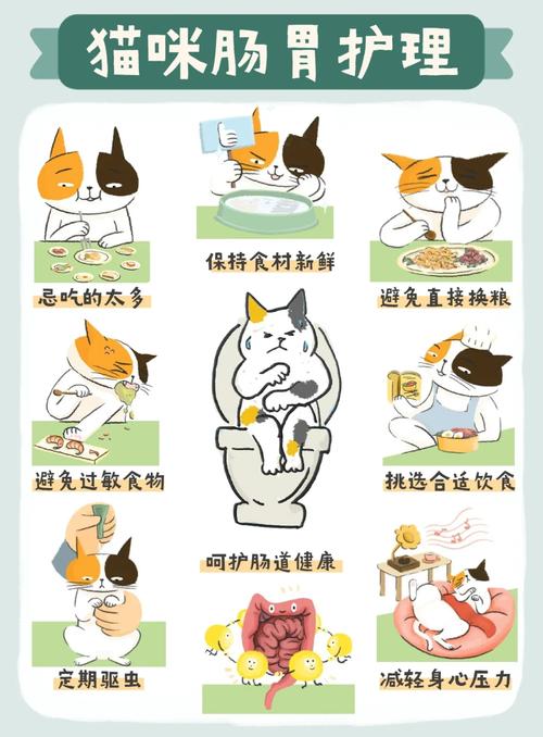 猫咪肠道寄生虫，了解与预防