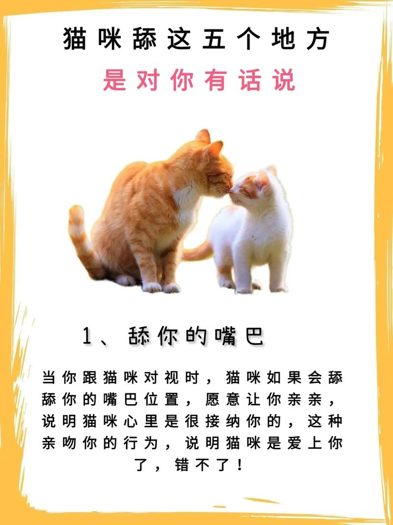 猫咪为何总爱舔嘴唇？揭秘背后隐藏的秘密