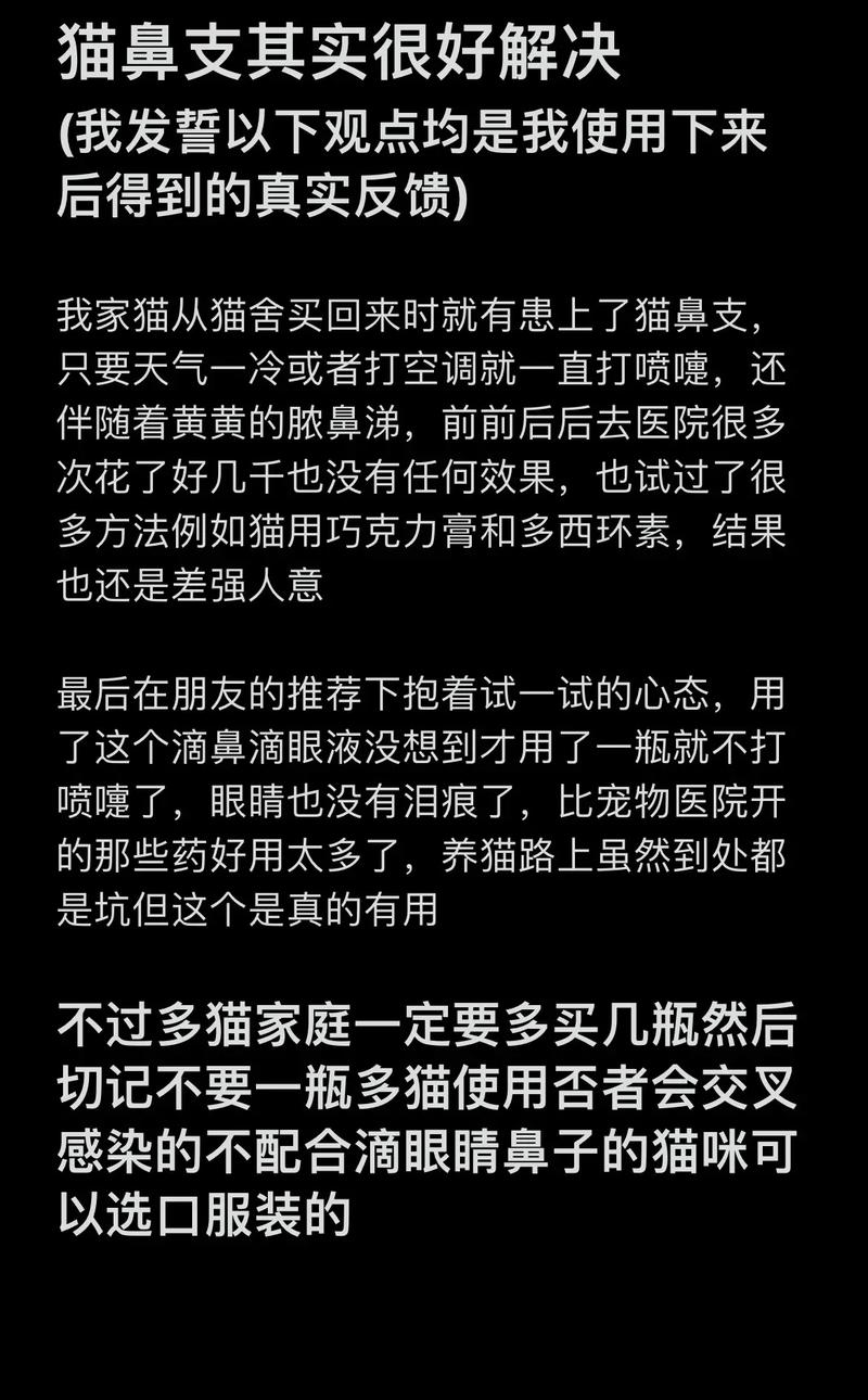 揭秘，给猫咪正确滴鼻的妙招与注意事项