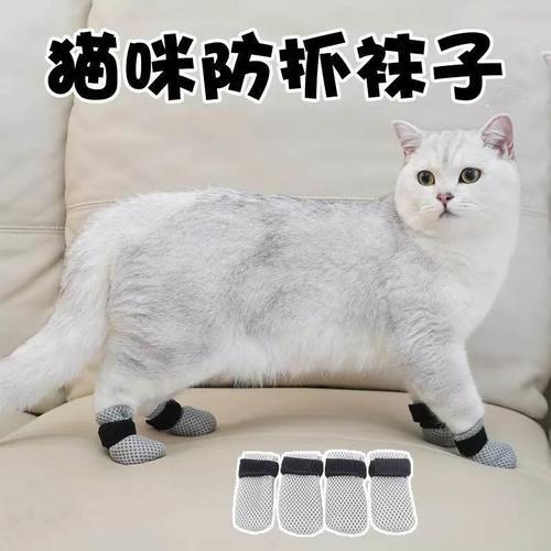 猫咪指甲套，为爱宠提供优雅与保护的双重选择