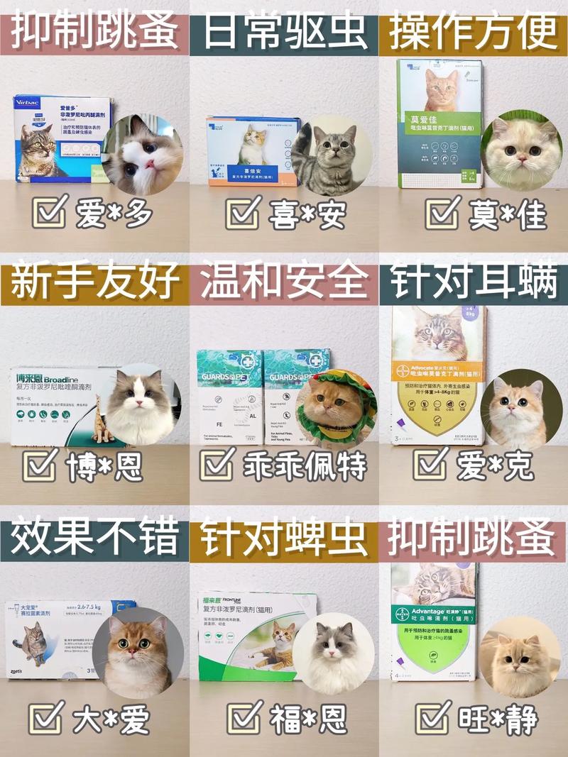 猫咪不吃打虫药