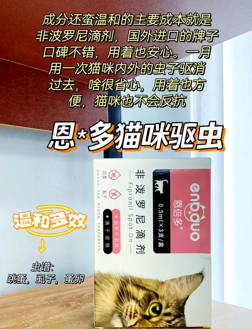 猫咪驱虫药，安全使用，呵护毛孩子健康成长