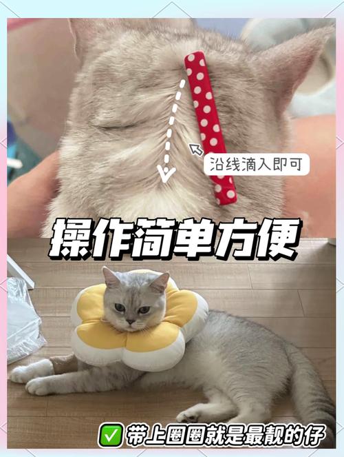 驱逐顽敌，彻底解决猫咪跳蚤问题的全面指南