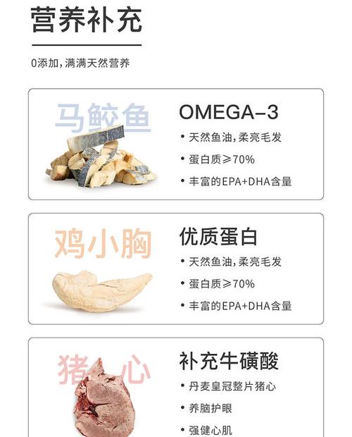 猫咪的美味佳肴，探索安全的食物清单