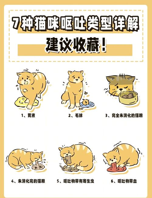 猫咪更换猫粮后出现呕吐的常见原因与应对策略