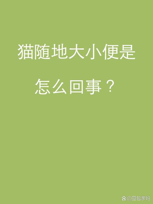 猫咪为何情有独钟厕所——揭秘猫的排泄习惯与心理需求