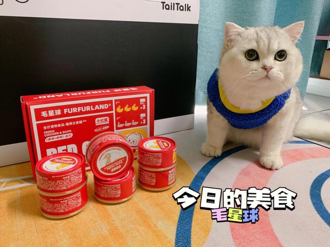 猫咪的红色秘密，探究它那独特毛色背后的奥秘