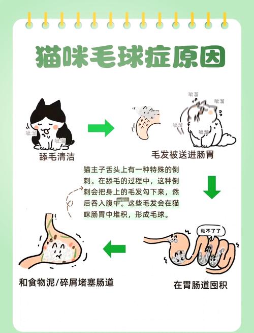 轻松应对猫咪的毛球，清理方法与常见问题解析