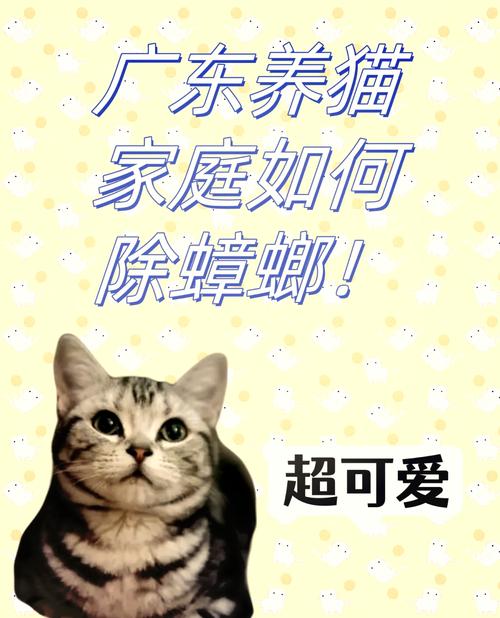 揭秘，猫咪身上真的有虫吗？养宠人的必读指南