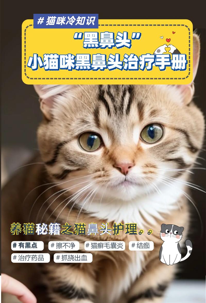 猫咪黑鼻的秘密，为何它们的鼻子总是那么黑？