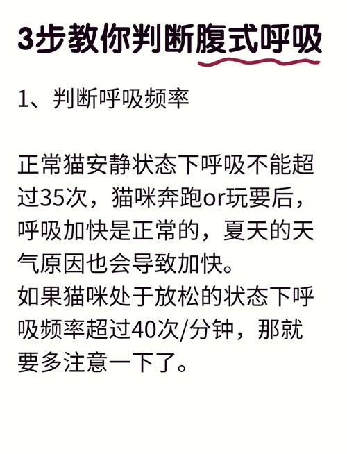 小猫咪的呼吸急促，警惕可能的健康信号