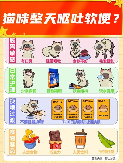 揭秘猫咪为何呕吐与饮食之间的问题