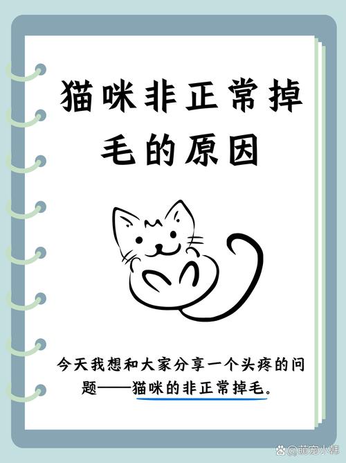 猫咪能否享用鸡蛋清？——揭秘猫咪与鸡蛋之间的饮食奥秘