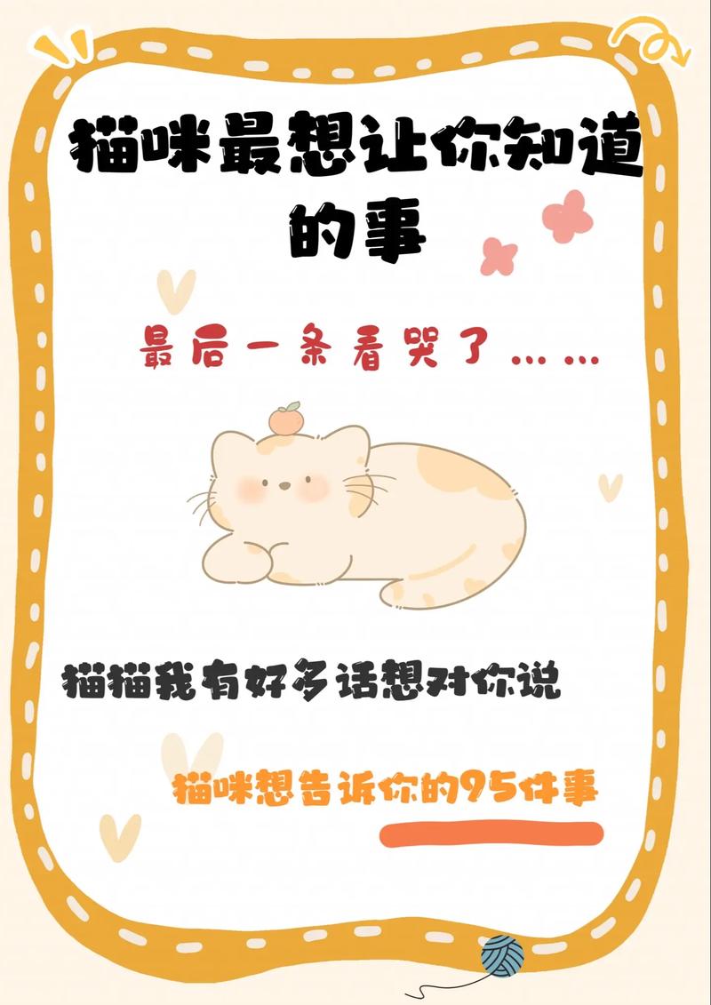 猫咪的秘密——无声的呼唤