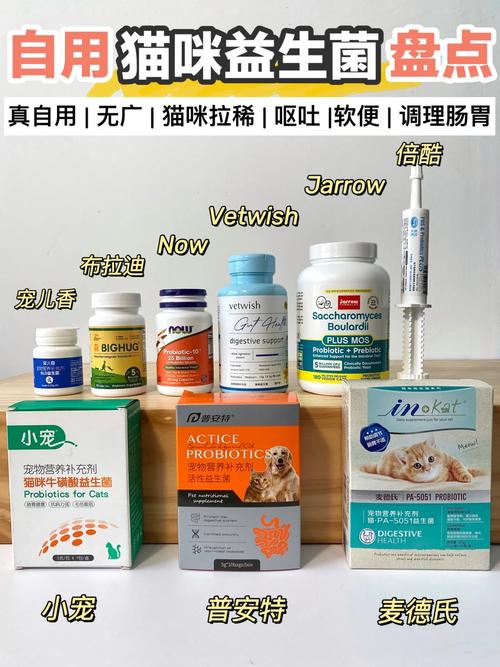 猫咪消化不良？这样吃，轻松恢复活力