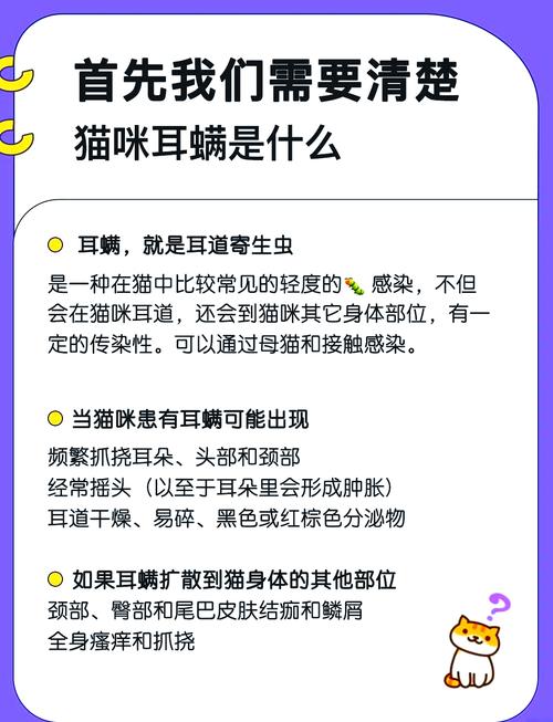 猫咪耳螨，识别与处理的全面指南