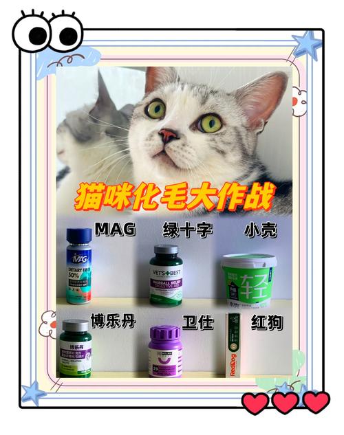 轻松应对猫咪毛干燥问题——养护毛发小贴士