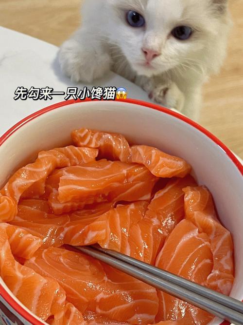 猫咪为何爱食三文鱼——营养专家解读