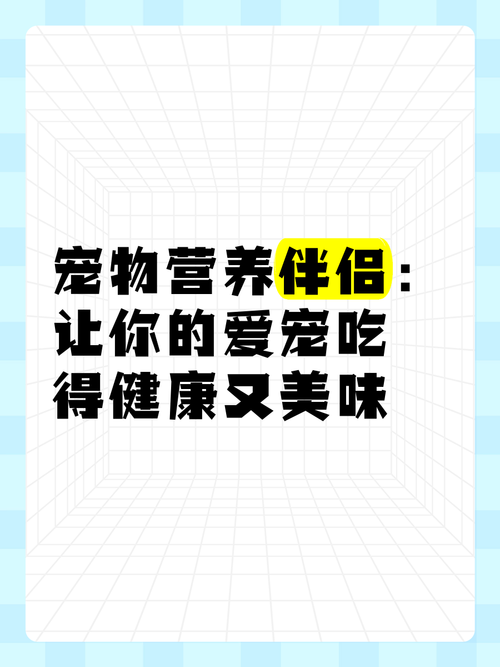 科学喂食，让爱宠享受美味——探讨给猫咪吃零食的利与弊