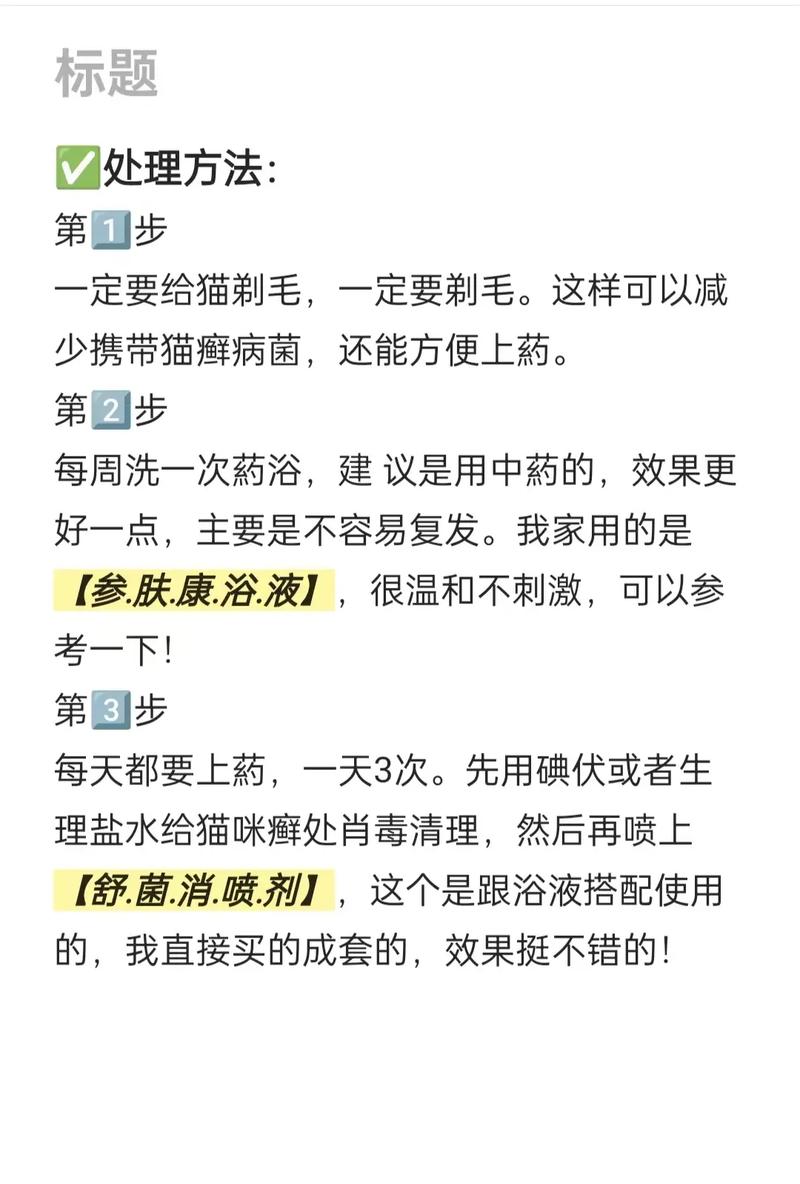 妙招助猫咪脚烂痊愈，护理与预防并重