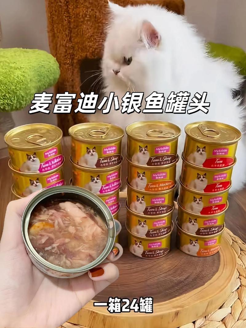 干粉猫咪，如何用最简单的食材喂养最挑剔的猫