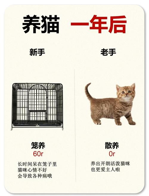 守护毛孩子健康，猫咪每年打针的重要性