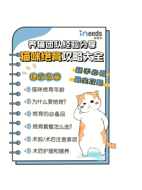 猫咪绝育手术后的正确护理——选择合适的纱布至关重要