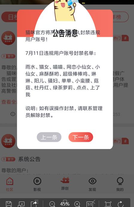 长沙猫咪社区的温暖与故事