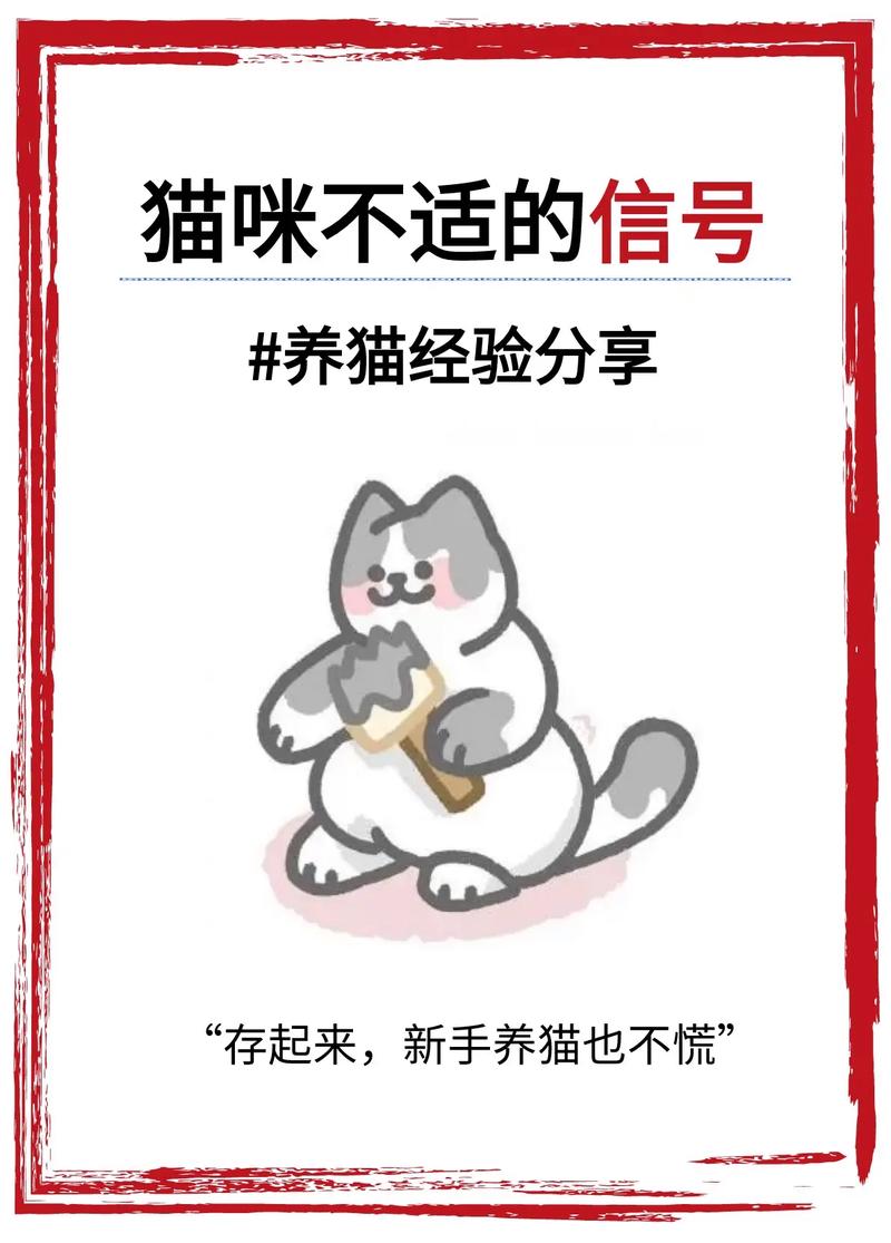 猫咪白色鼻涕，如何解读小猫健康信号