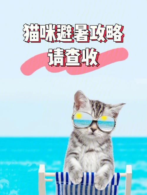 夏日防患于未然，了解猫咪中暑的征兆与应对措施