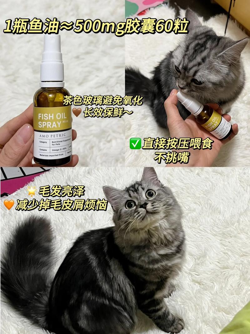 猫咪精神下降？5个常见原因及应对策略